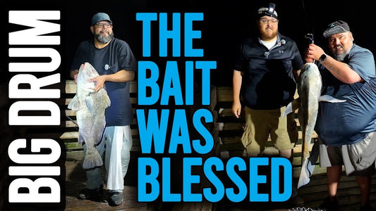 Black Drum at Port Lavaca Fishing Pier