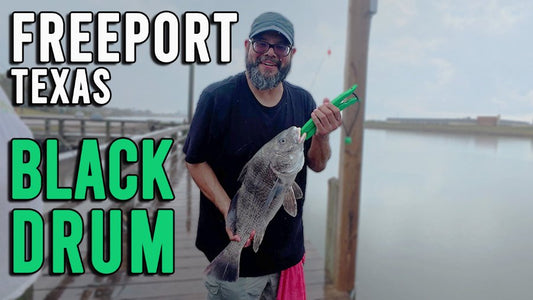 Black Drum fishing at Freeport Riverplace Pier