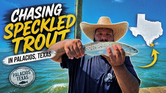 Searching for Fish and Freedom in Palacios Texas