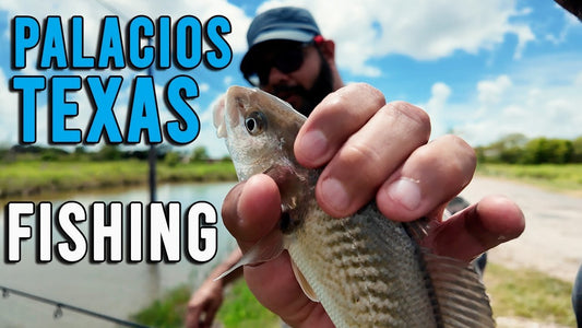 Fishing Palacios Texas Piers and Bridges