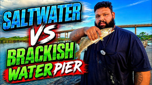 Galveston Pier Fishing Turns Into a Speckled Trout Day